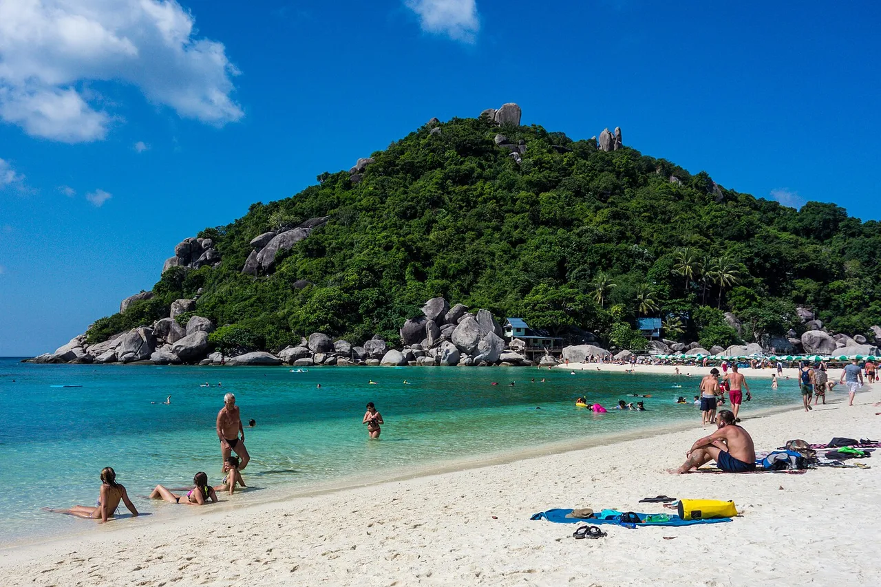 Plage de l’île de Koh Tao, eau turquoise, baigneurs et colline boisée au fond