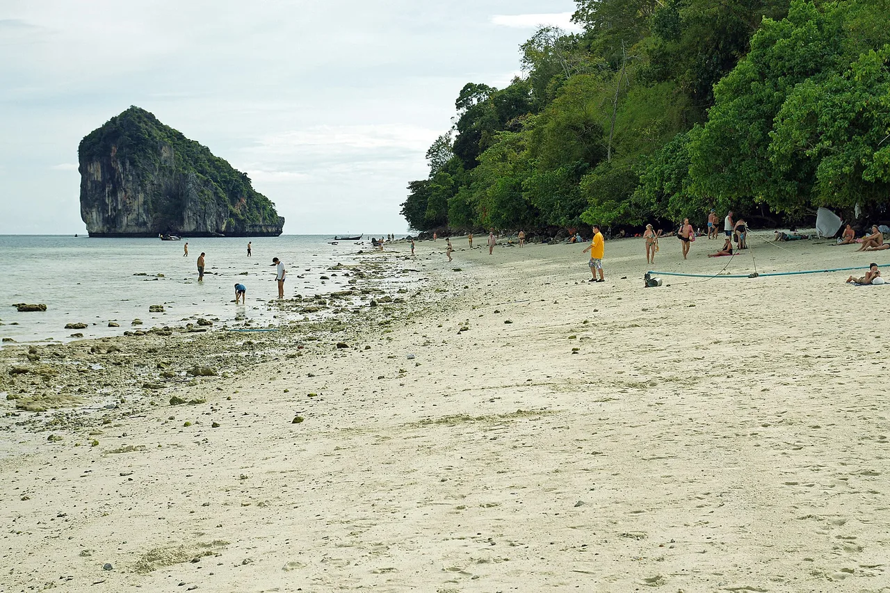 Une plage de sable de Ko Kai (Chicken Island) près de Krabi, quelques baigneurs dans l’eau peu profonde, un rocher boisé et un bloc calcaire abrupt au fond