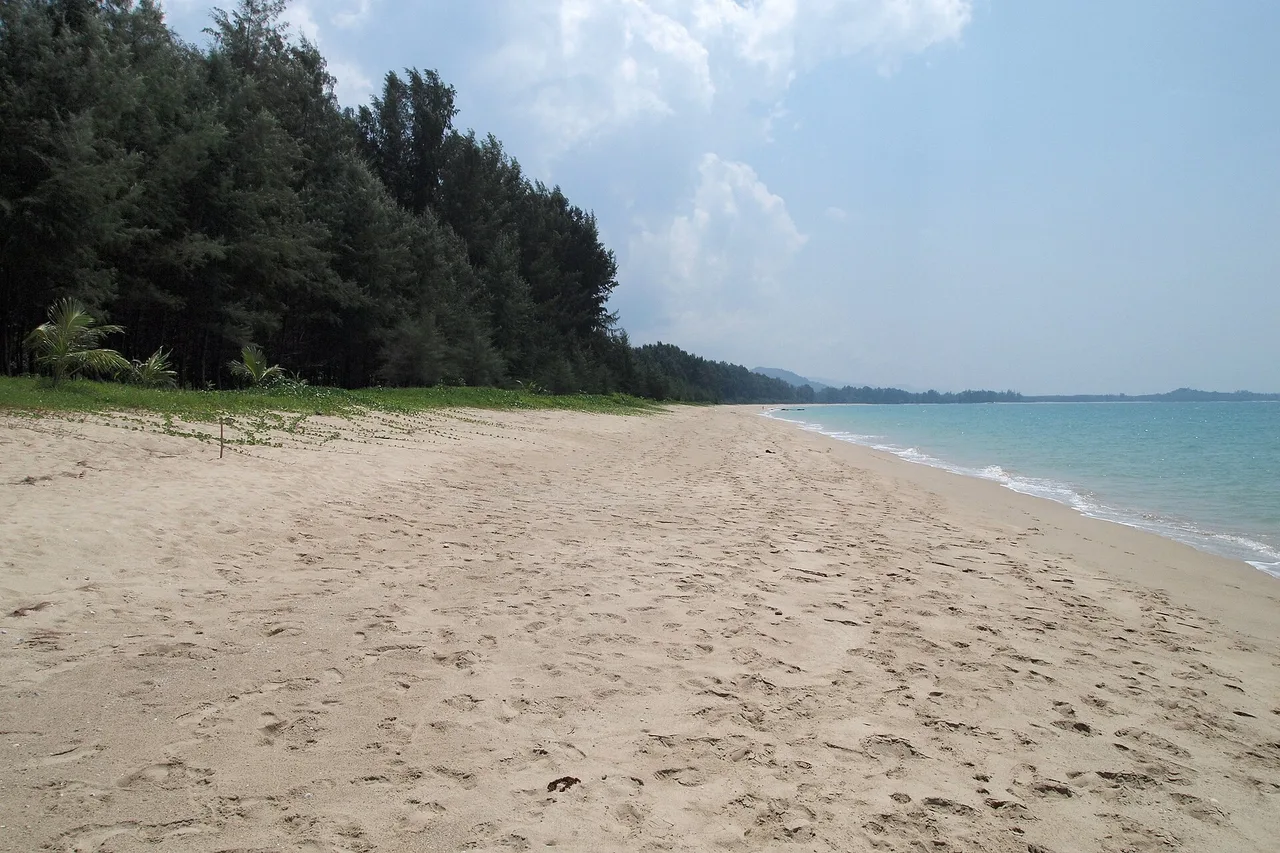 Breiter heller Sandstrand in Khao Lak, von Kiefern gesäumt, rechts ruhiges Meer unter bewölktem Himmel
