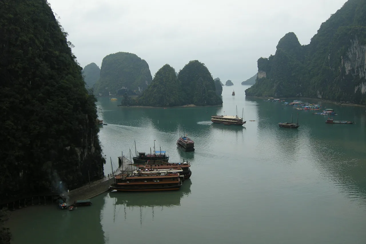 Vue plongeante sur la baie d’Ha Long : pains de sucre calcaires couverts de forêt, bateaux d’excursion et eau verte et calme sous un ciel voilé