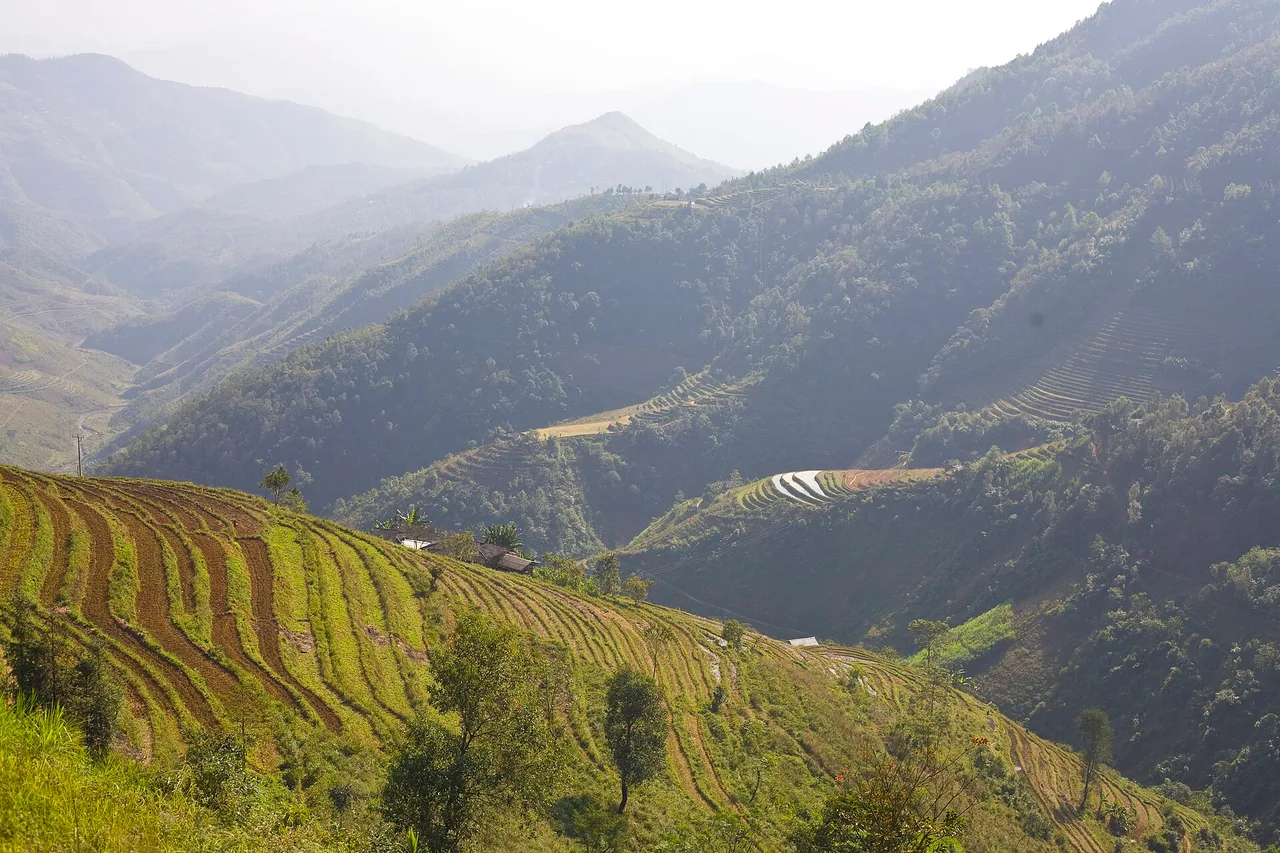 Rizières en terrasses et chaînes de montagnes du nord du Vietnam sur la boucle de Ha Giang, horizon voilé de brume