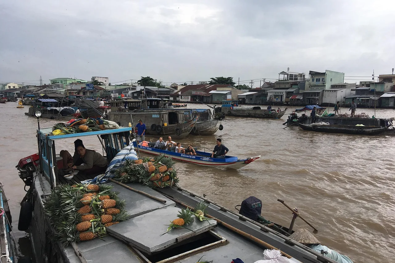 Barche di commercianti al mercato galleggiante di Cai Rang, nel delta del Mekong; un uomo in piedi a poppa di una barca sull'acqua marrone del fiume.