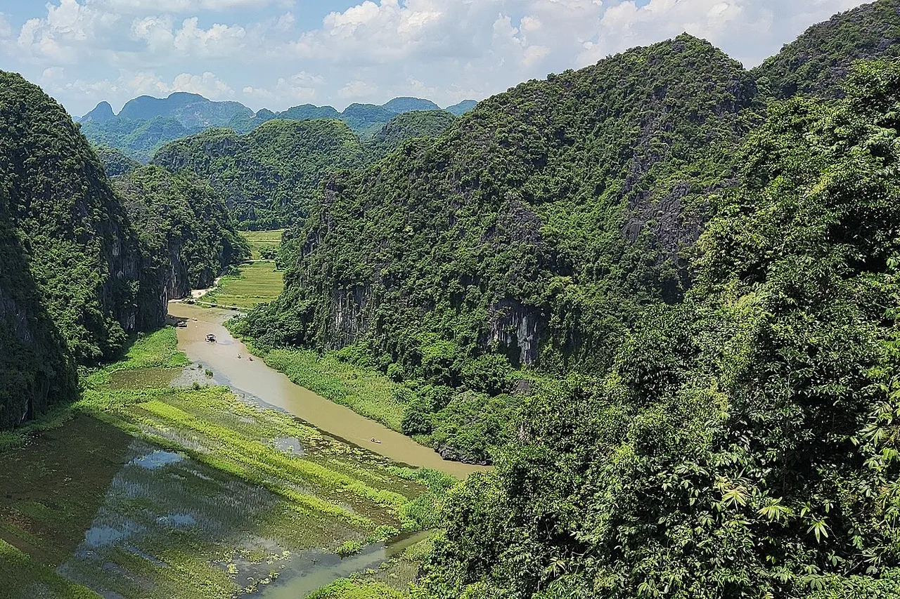 View from the Hang Mua lookout over a river winding between steep, green-covered limestone karsts and rice fields near Tam Coc