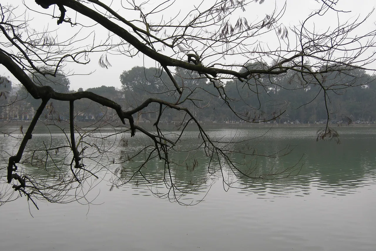 Branches nues au-dessus du lac Hoàn Kiếm, gris et calme, à Hanoï par temps couvert