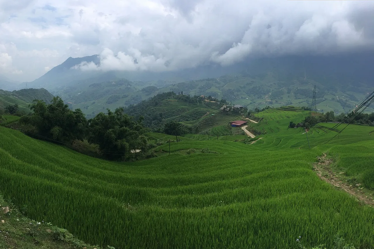 Rizières en terrasses vertes dans une vallée près de Sa Pa, nuages bas sur les montagnes