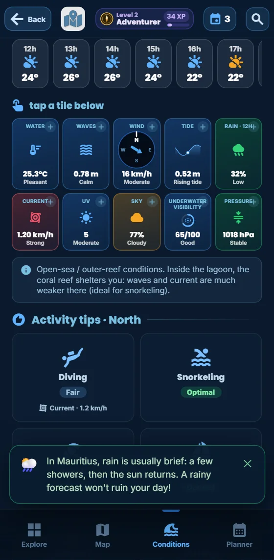 The app’s hour-by-hour view: weather, waves, wind, current, visibility and tide lined up by hour